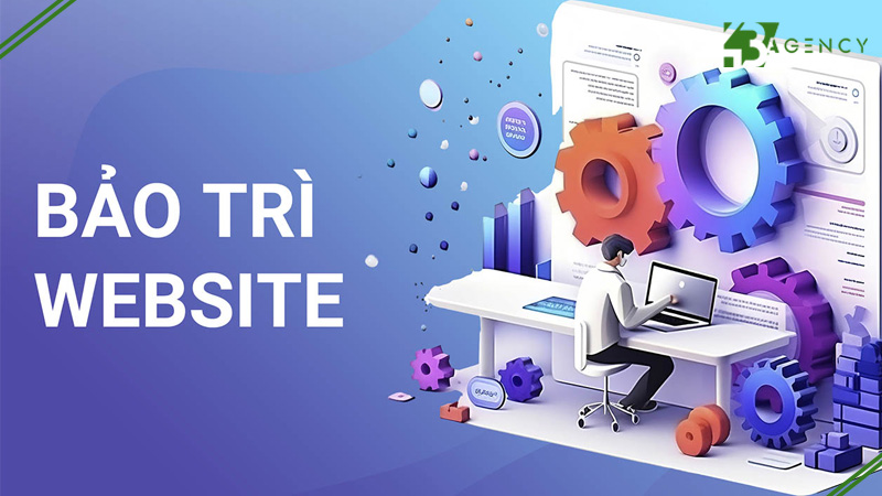 dich-vu-bao-tri-website-la-gi-co-can-thiet-khong-1