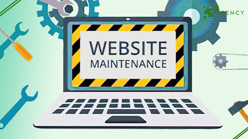 dich-vu-thiet-ke-website-co-bao-gom-bao-hanh-khong-1