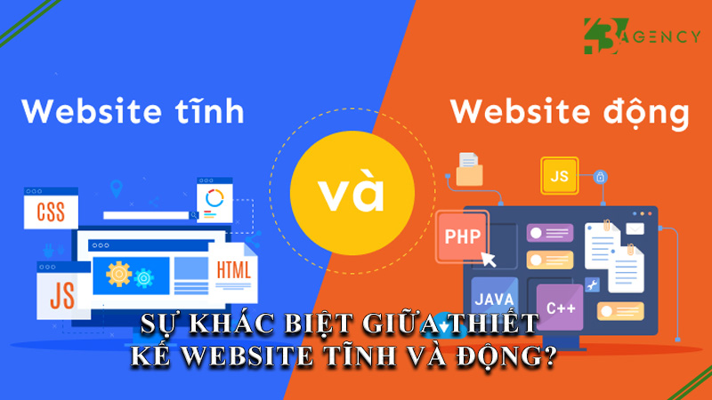 su-khac-biet-giua-thiet-ke-website-tinh-va-dong-0