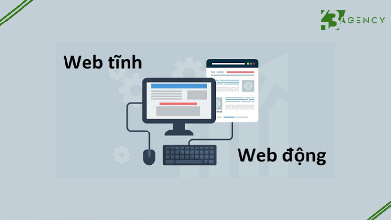 su-khac-biet-giua-thiet-ke-website-tinh-va-dong-1