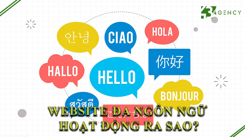 website-da-ngon-ngu-hoat-dong-ra-sao-0