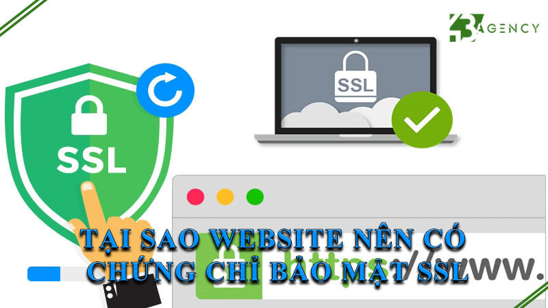 tai-sao-website-nen-co-chung-chi-bao-mat-ssl-0