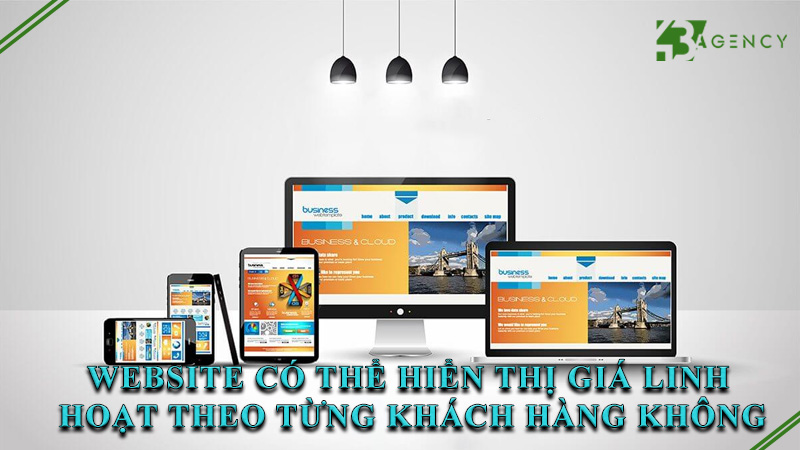 website-co-the-hien-thi-gia-linh-hoat-theo-tung-khach-hang-khong-0