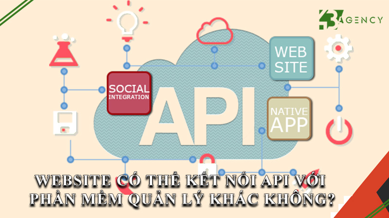 website-co-the-ket-noi-api-voi-phan-mem-quan-ly-khac-khong-0