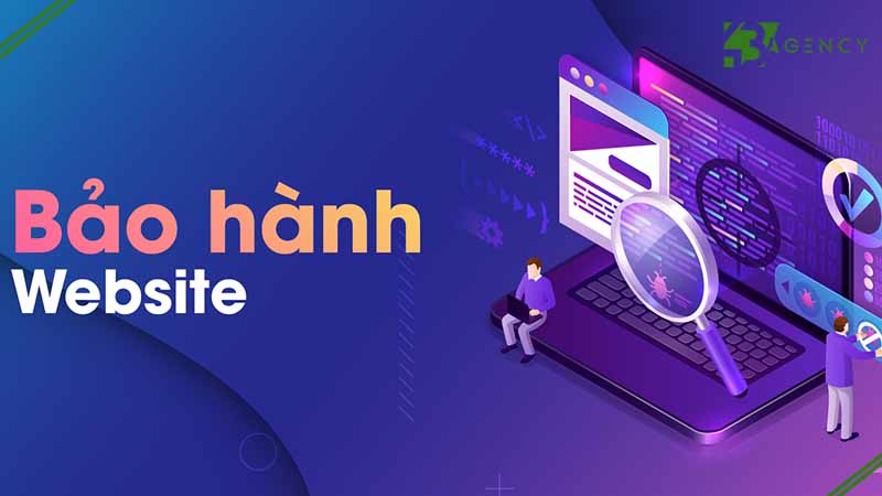 website-5