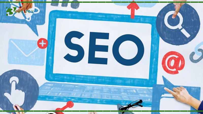 ban-dang-lam-seo-hay-chi-dang-viet-bai-cho-co-2