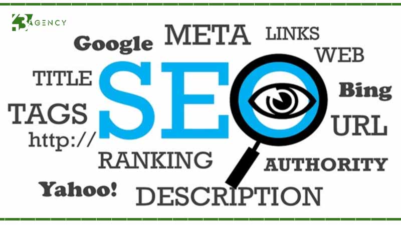 seo-maps-vs-seo-web-nen-tap-trung-cai-nao-1